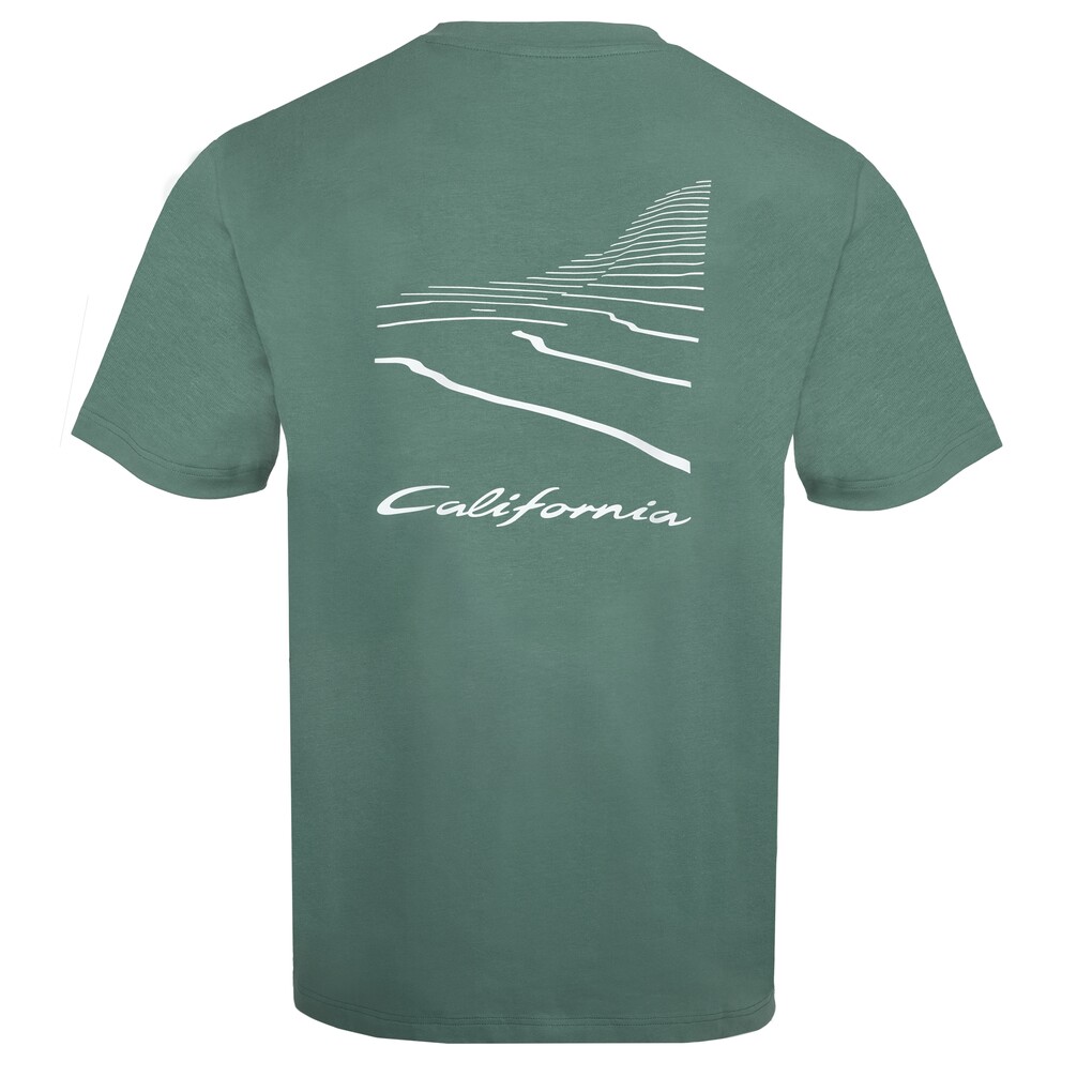 Pánské triko California
