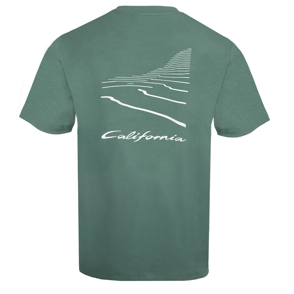 Pánské triko California